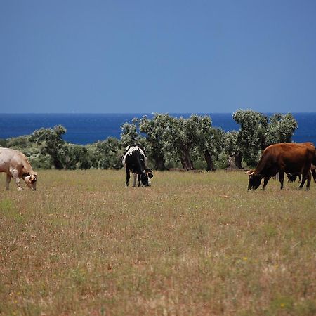 Masseria Palombara Grande ออสตูนี ภายนอก รูปภาพ
